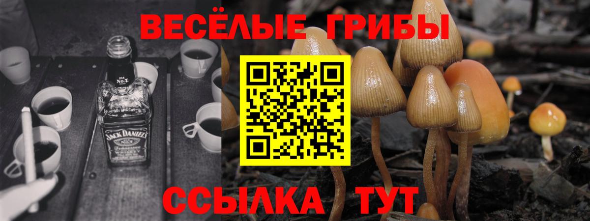 Малгобек  Псилоцибиновые грибы мицелий  Вход с VPN 
